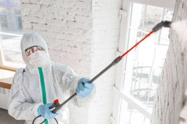 Best Mold Remediation for Rental Properties  in , OR